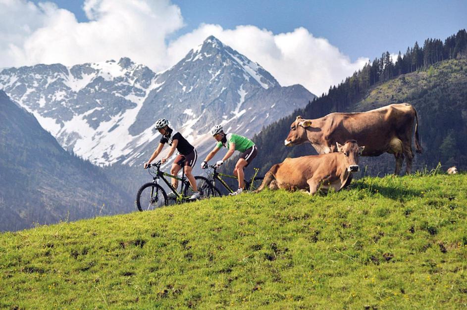 Alpin Lodges - Moderne Appartements Mit Zugang Zu 3000 Qm Spa Panoramahotel Oberjoch Bad Hindelang Exterior photo